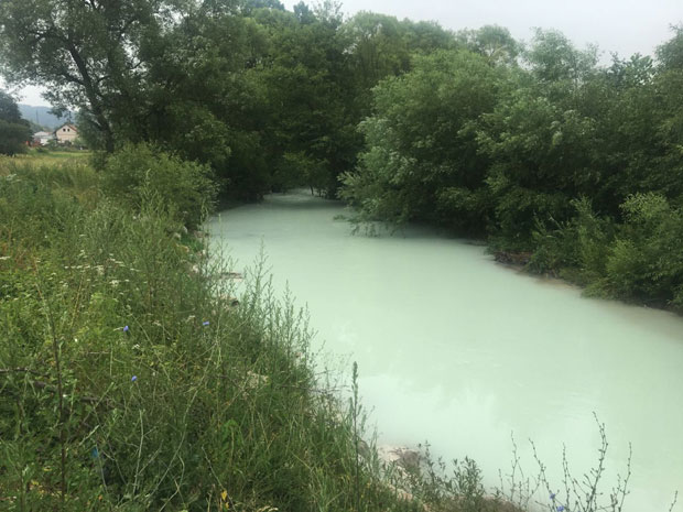 ОТРОВАНА МРТВА РЕКА: Ћехотина као млеко